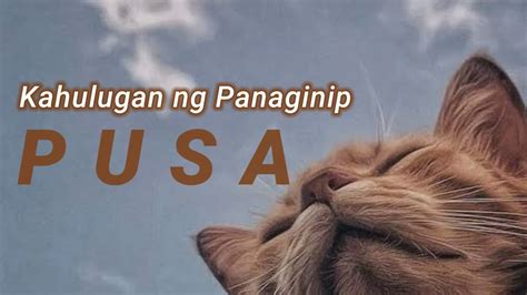 pusa sa panaginip